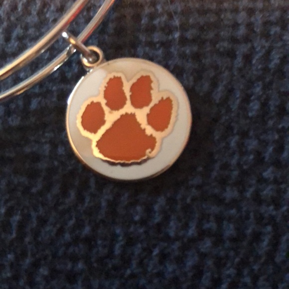 Alex and Ani Bracelet NWT - Picture 2 of 4